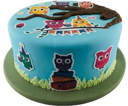 COXIMUS backen und mehr Tortendekoration Kindergeburtstag | Kuchen Tattoos Eulen | fertige Fondant Dekoration Eulen