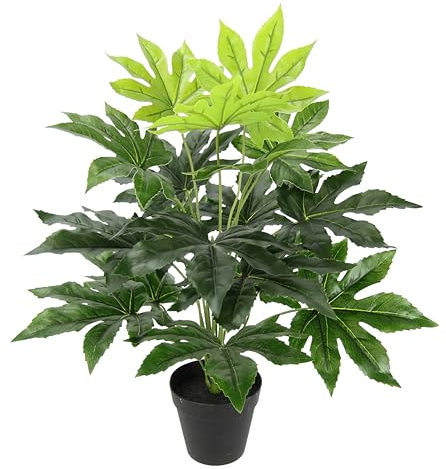 Künstliche Blattpflanze im Topf Aralie 60 cm Monstera Seidenblumen Real Touch grün Kunstpflanzen Pflanzen Aralienpflanze Deko Dekopflanze Grünpflanze Seidenpflanze Zimmerpflanze Kunstblume Büropflanze