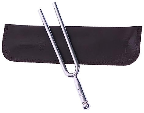 LIFKOME Diapason Acier Inoxydable Standard A, Fourchette Instrument de Musique, Accordeur Tonalité Précis avec Étui Argenté, Accessoire Réglage pour Guitare, Violon et Piano, Usage Voyage