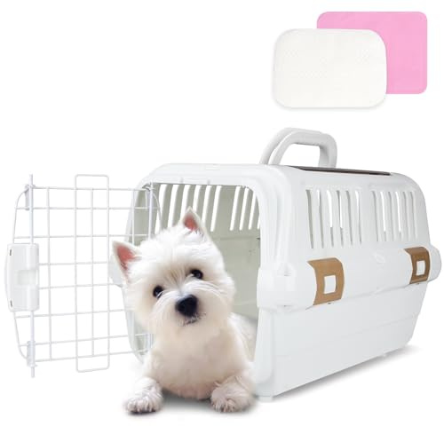 Robuste Transportbox für Hunde und Katzen – Zwei Türen (Oben und vorne), Gittertür aus Kunststoff, atmungsaktiv, für Haustiere bis 10 kg, ideal für Reisen, Wandertouren, CTierarztbesuche (Weiß)