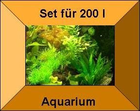 Mühlan Topartikel- 7 Töpfe + 7 Bund Wasserpflanzen, Aquarienpflanzen, Komplettbepflanzung für Ihr Aquarium