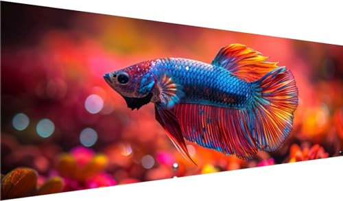 Diamond Painting Set 250x100 cm, DIY Farbe Diamond Painting Runde Steine Strass Cross Stickerei Kunst Kits, Diamond Painting Zubehör Set Basteln Erwachsene, Diamond Painting Fisch für Geschenke, Dekor