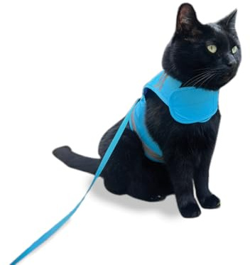 CAT SCHOOL Katzengeschirr und Leine, Set für Spaziergänge im Freien, Training und Reisen – sicheres, weiches, bequemes Katzengeschirr mit 3 m langer Katzenleine – einfach zu bedienen mit