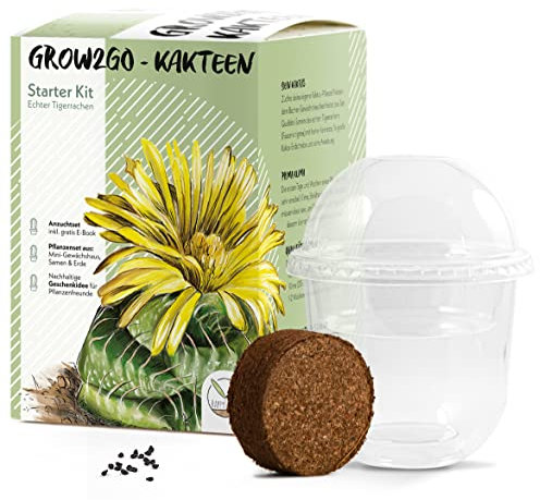 GROW2GO Kakteen Starter Kit Anzuchtset - Pflanzset aus Mini-Gewächshaus, Kaktus Samen & Erde - nachhaltige Geschenkidee für Pflanzenfreunde (Echter Tigerrachen)