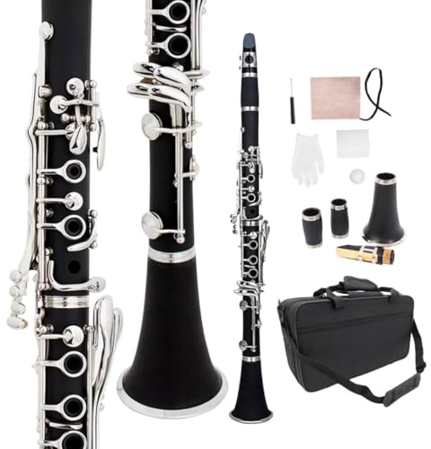 WUQIMUSC Professionelle Klarinette aus Ebonitholz, vernickelte Klappen mit Tonlöchern, Blatt-Zubehör, schöner Klang, strapazierfähiges Etui (akey-clarinet)