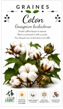 5 Samen Baumwollbäume Gossypium barbadense reine weiße Baumwolle Tropical Baum
