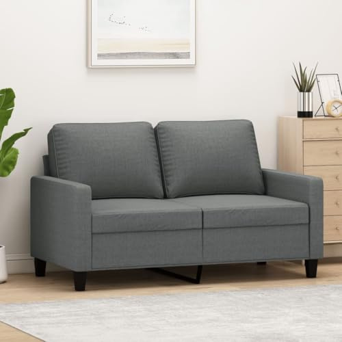 Iiaky 2-Sitzer-Sofa Couch 2 Sitzer Loveseat Sofas FüR Wohnzimmer Sofa Loveseats Dunkelgrau 120 cm Stoff