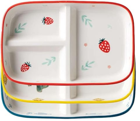 Platos de cerámica divididos para adultos, juego de 4 platos cuadrados de control de porciones de estilo japonés en colores mixtos