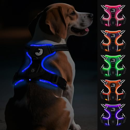 Joytale Hundegeschirr Leuchtend Aufladbar für Mittelgroße Hunde, No Pull LED Hundegeschirr Reflektierend mit Griff, Gepolstertes Leuchtgeschirr Verstellbar für Nachtspaziergang,Schwarzblau,M