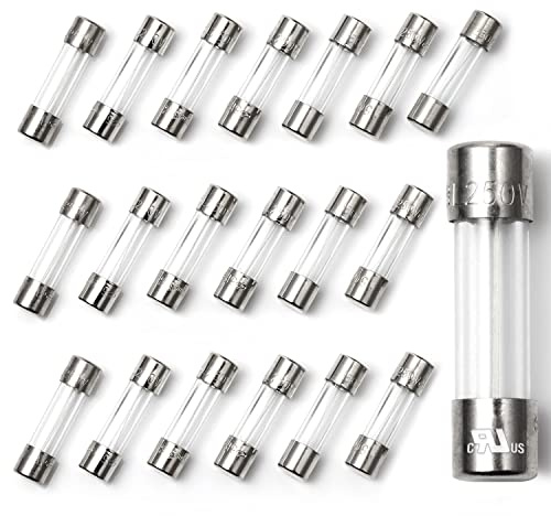 Chanzon 20 Stück VDE Prüf 5x20 2A Sicherungen Sicherung Glassicherung Glasrohrsicherung Feinsicherung Schnelle Glas Sicherung 125V Glas AGC-Patronen-Rohrsicherung F2AL 250 V
