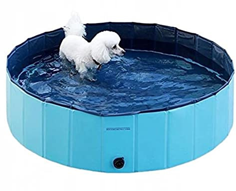 NiceLife Faltbare Hunde Pools Hundepool Haustierpool Gartenhundepool für Hunde aus PVC (80x20CM, Blau)