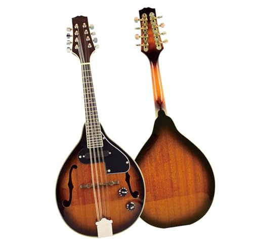 String Instrument Electric Sapele Mandolin (with Sponge Bag) Selected Materials Beautiful