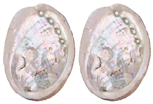 WEBEEDY 2 PCS Große Abalone Muschel 10-12 cm Natürliche Abalone Muscheln Hand Ausgewählte Abalone Muschel für das Halten von Weihrauch, Trinkets Natural Räucherschale Beach Theme Party Dekorationen
