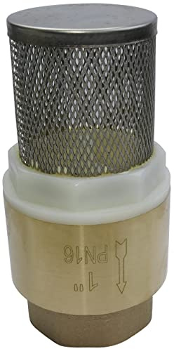 AERZETIX - C53429 - Valvola di ritegno - Ø1'' pollici - filtro monoblocco di aspirazione - valvola di fondo - antiritorno - in ottone