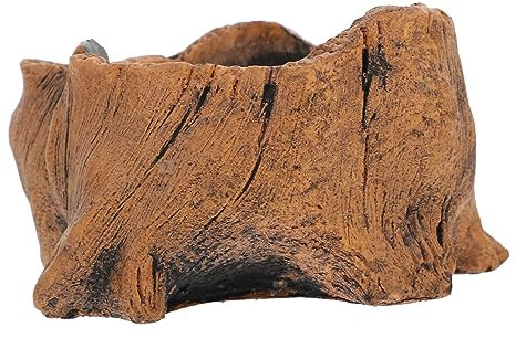 Supvox Topf für Pflanzen Baumwurzelpflanzer Zementpflanzer Töpfe für Pflanzen hölzerner Topf Pflanzer Bonsai-Töpfe Sukkulenten Blumentopf Sukkulente Pflanzen Container Bonsaischale