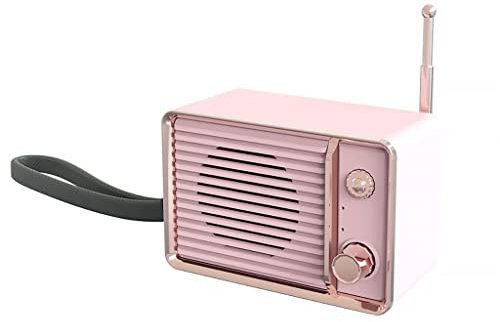 RUHEN Altavoces estéreo Vintage, Altavoces portátiles con Sonido Potente y Tarjeta TF