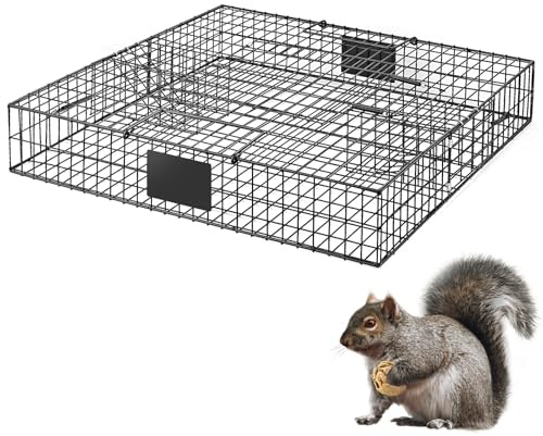 AMVOG Eichhörnchenfalle mit 2-türiger Metallkonstruktion - Fangen & Freilassen von Streifenhörnchen, Eichhörnchen & Multi Lebendtier, Hält bis zu 25 Eichhörnchen - 1 Falle