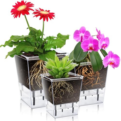 IWTTWY Self Watering Plant Pot Set Pack of 3, Modern Clear Planters for Indoor Plants with Reservoir and Wick Cord, Flower Pots for Orchid, African Violet, Rose, Aloe, Tulips, Peace Lily