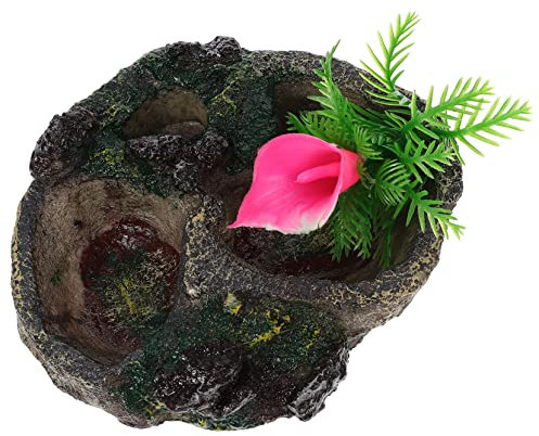 BESPORTBLE Wasserschale Für Reptilien Schildkröten Futterbecken Vorratsbecken Für Tiernahrung Futterspender Für Krabbeltiere Zubehör Für Terrarien Haustier Wasserbehälter