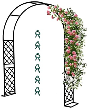 Arco de Jardín Enrejado Pérgolas De Metal pulverizado, 140 180 200 220 310 350 Soporte para Rosas Trepadoras y Exteriores, Resistente Arcos con 6 Clips de fijación para Plantas(Negro,310x240cm WxH)