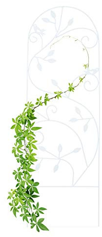 Relaxdays Treillis jardin oiseaux fer, Clôture plante grimpante Grille fleurs métal, Arceau rosier, 120 x 40 cm, blanc