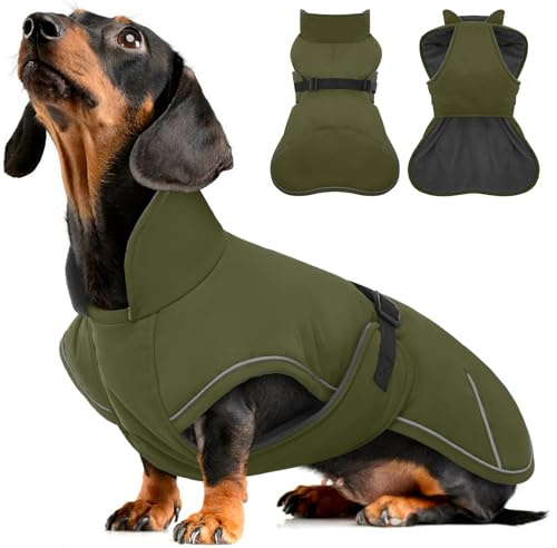 Hjyokuso Hundemantel Dackel XL, Winddichter Wasserdichter Wintermantel Für Dackel Hunde, Hundejacke Für Kleine Hunde XS, Hundemantel Winter Mit Bauchschutz Leinenloch, Winterjacken Für Hunde-Armeegrün