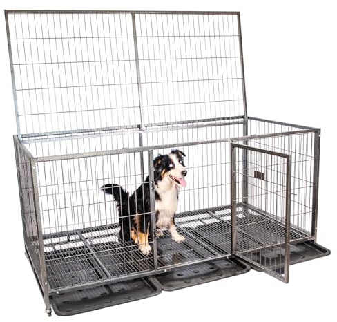 PAITSY Hundetransportbox klappbar Mouvedy2XL, 180x93x89 cm, Hunde-Box für innen & außen, 2 Türen, herausziehbares Tablett, 360° Räder