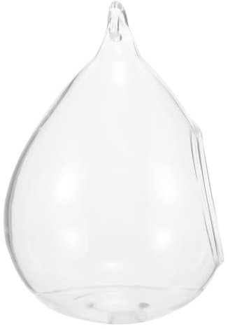 BESPORTBLE Vase Succulent Terrarium Suspendu en Verre Globe Végétal Aérien Jardinière en Verre pour Plantes à Air Vase Mural Suspendu Terrarium De Bricolage Végétal Aérien Un