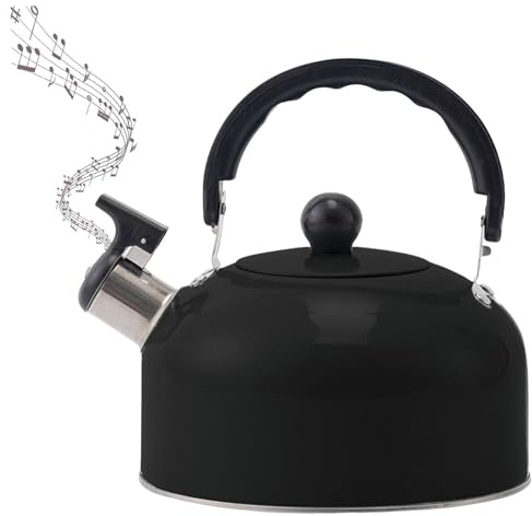 Bouilloire Sifflante INOX pour Cuisinières en Acier Inoxydable 3 Litres Bouilloire Théière avec Poignée Résistante à la Chaleur pour Induction et Gaz