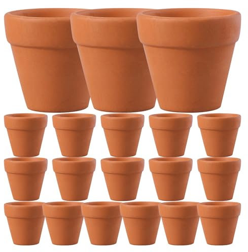 XPJYUA Vasi in Terracotta 20 Mini vasi in Terracotta for Piante da Interno, Piccoli e compatti, portafiori.