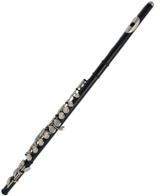 Anfänger-Flöteninstrument C-Taste 16-Loch-Flöte mit geschlossenem Loch