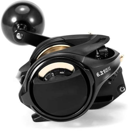 Karpfenrute Rolle 9+1BB Angelrolle High Speed ​​6,3: 1 Übersetzungsverhältnis Magnetbremssystem Baitcaster Angelrollen(Right Hand)