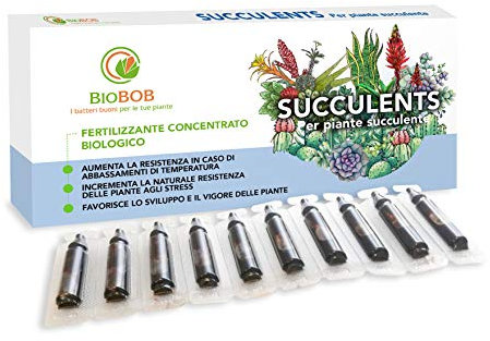 BIOBOB Succulents - Concime Biologico per Piante Grasse - Kit salvaspazio per piante grasse