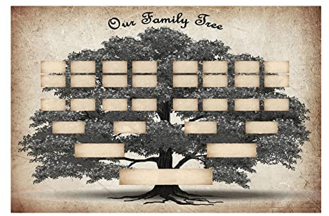 Sloane Arbre généalogique | Généalogie sur Toile 6 générations - Formulaire d'ascendance à remplir pour l'histoire familiale et Le Travail d'ascendance, décoration Murale Salon Bricolage
