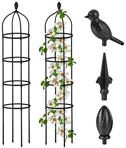 Garden Obelisk Trellis for Climbing Plants Outdoor 6 Ft Rose Bush Round Trellis for Pots Rustproof Metal Pipe with Plastic Coated Plant Flower Trellises for Clematis Vine Jasmine Support