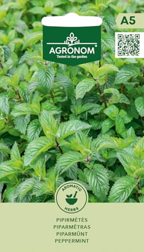 AGRONOM | Semillas de menta piperita | Semillas de flores | Semillas de plantas | Semillas de jardín |Planta perenne y aromática | Se utiliza como condimento | 1 paquete