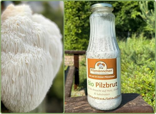 Bio Pom Pom/Löwenmähne Körnerbrut - Pilze selber züchten