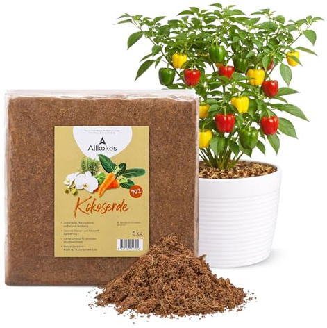 Allkokos Kokoserde für Pflanzen - 5kg Block quillt zu ca. 70L Pflanzenerde – torffreies Kokossubstrat für Kräuter, Gemüse & Blumen - 100% natürliche Kokosfaser Erde mit pH 5,5–6,5 (1x5kg)