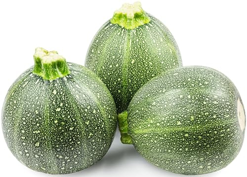 30 Round Zucchini Seeds for Planting - Heirloom, Non-GMO, USA Grown Seeds in Premium Waterproof Packaging with Plant Information and Instructions - Cucurbita Pepo
