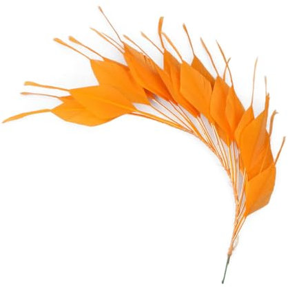 Plumes d'oie pour l'artisanat Fleurs de mariage Corsages Accessoires de décoration Coiffe -B03