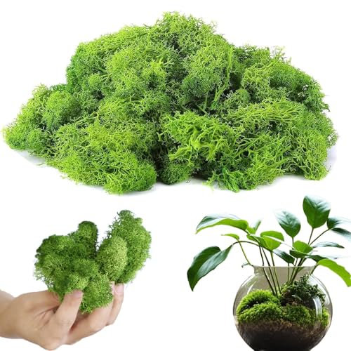 OUOQI Kunstmoos zum Basteln, 150g Künstliches Moos zum Dekorieren, Deko Moos zu Ostern, Kunstmoos