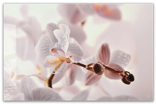 Herdabdeckplatte 80x52 cm einteilig – Orchidee, Blüten, zarte Pastellfarben, Blumen Naturmotiv, Wellness | ESG Glas Ceranfeldabdeckung, Schneidebrett, für Ceranfeld, Hherdabdeckung