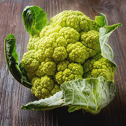 semillas de coliflor - orgánicas, variedades tradicionales, cultivo al aire libre exóticas decoración jardín balcón con parterre elevado 450pcs