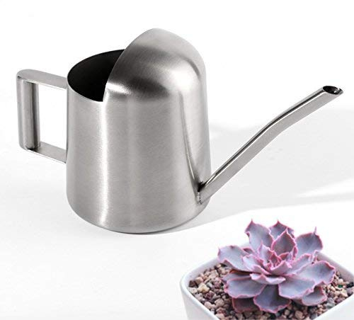 OFKPO Regadera Pequeña,Acero Inoxidable Regadera para Casa Interior Plantas de Riego Largo Canalón Olla de Riego 300 ml