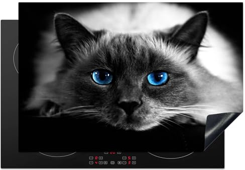 KitchenYeah© Protege Plaque Tapis Pour Induction Deco Cuisine Protection | 76x51 cm - Vitrocéramique Pour Cuisiniere Chat - Yeux - Gris - Bleu