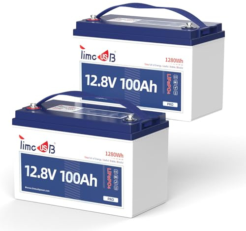 Timeusb Bateria Litio 12V 100Ah LiFePO4,1280Wh para Autocaravana (Set de 2) | BMS 100A Integrado,4000-15000 Ciclos Profundos,Ideal para Vida Fuera de La Red,Barco,Sistema Solar