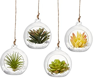 Glas-Terrarium zum Aufhängen (10,2 cm mit Seilen)