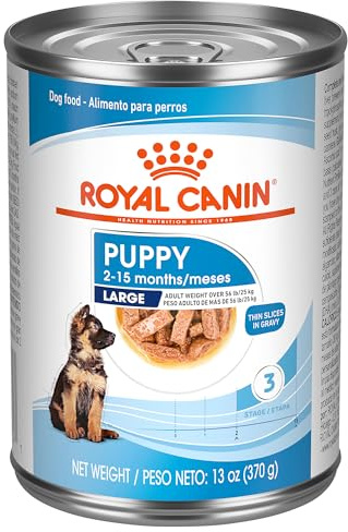 Royal Canin Size Health Nutrition Large PuppyThin Slices in Gravy Dog Food, 13 oz (Pack of 12)