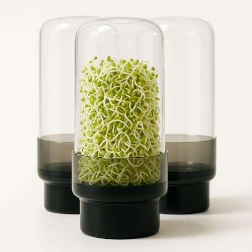 SOURCE AND SAGE Design Sprossenglas 750ml -3er Sprossen Anzuchtset-Keimglas für Sprossen aus Glas mit Edelstahldeckel/Sieb, Anzuchtset inkl. Spülbürste. (Sprossenglas 3er Set, 3.0, stück)
