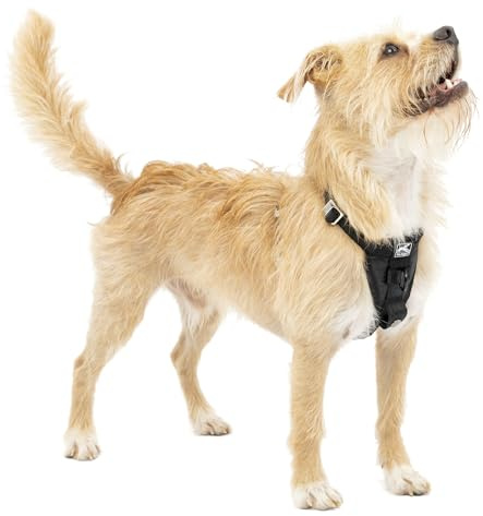 Kurgo Enhanced Strength Tru-Fit Smart Harness, Black, Small